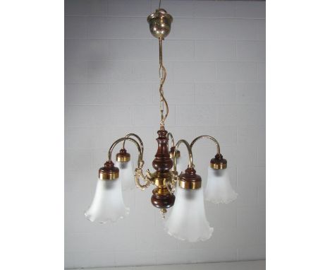 French Mid century hanging centre light 