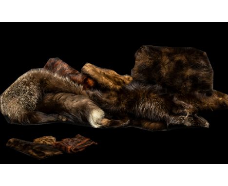 Collection of Vintage Fur Scarves, Collars &amp; Muffs.  Comprising a capelet with velvet inner collar and button fastening, 