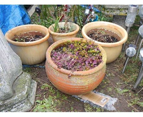 3 circular ceramic plant pots and a terracotta plant pot. 42 x 31 cm. Collect only.  