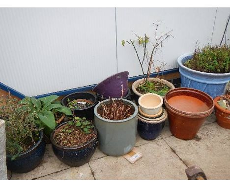 A mixed lot of large and small ceramic planters.  Collect only.  