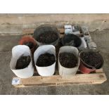Quantity nuts, bolts and nails etc