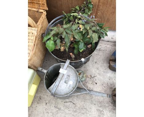 A VINTAGE METAL BUCKET (PLANTED) AND A VINTAGE WATERING CAN 