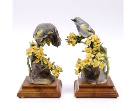 A Royal Worcester model 'Audubon's Warbler' modelled by Doughty and one other model of 'Audubon's Warbler' (2)