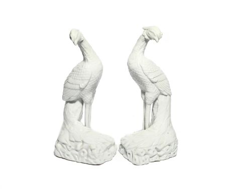 A pair of Continental porcelain figures of peacocks  modern, modelled in the Chinese blanc de Chine manner with heads turned 