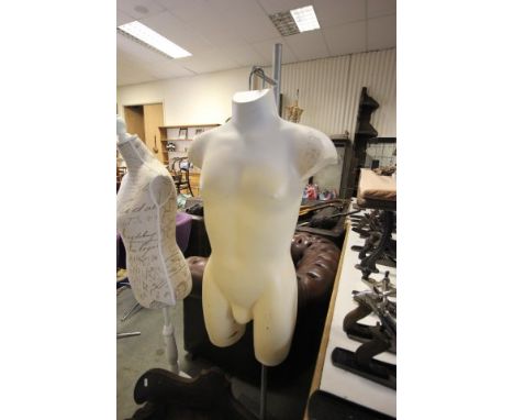 A Hanging Torso Mannequin on stand  