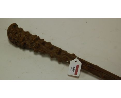 A brussel sprout stem walking stick
