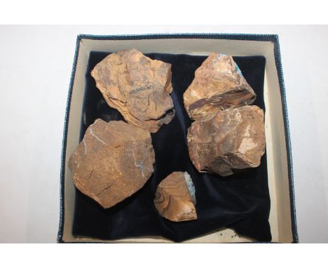 A box containing five pieces of rough Queensland Boulder Rock opal