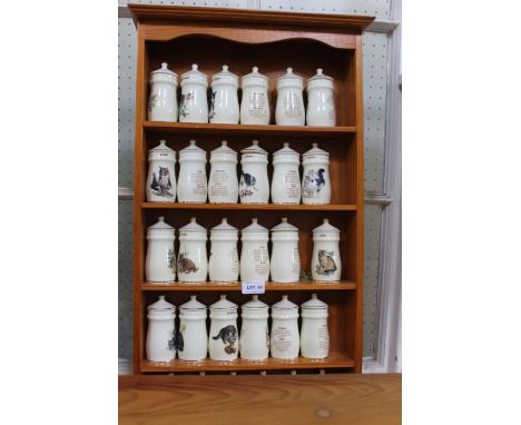 A pine finish hanging rack containing 30 Lesley Anne Ivory's spice jars decorated with cats 