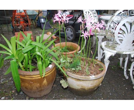 Two terracotta planters and a glazed planter.
