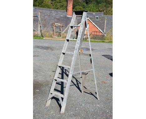A "Lyte" seven rung aluminium step ladder.