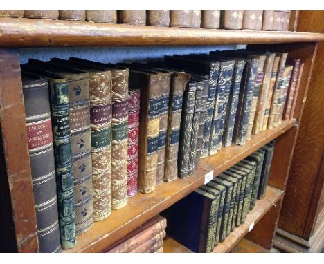 A shelf containing twenty seven various French 19th Century and other leather bound volumes and books.