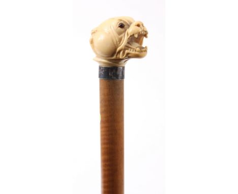 A GENTLEMAN'S LATE 19th CENTURY IVORY HANDLED WALKING CANE formed as an Old English Bulldog with amber glass eyes with silver