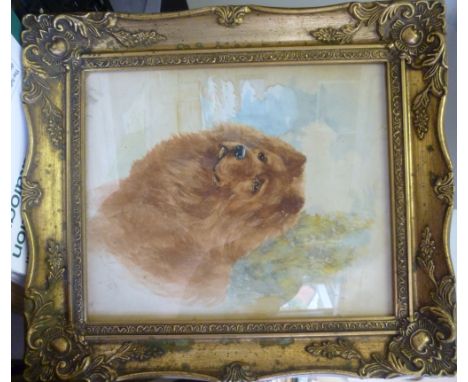 R Ward Binks - a head and shoulders study, a mountain dog  watercolour  bears a signature  11.5'' x 9.5'' in a glazed gilt fr