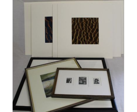 Limited edition signed print "Wind in the North"&nbsp; 2/ 50 by Sheila Parkinson, set of 3 proof woodcut prints of "Brown Cow