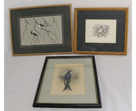 Old hand-coloured print of a house martin, ink drawing of a Fieldfare by Hilary Burn &amp; painting of long-tailed tits by Pe