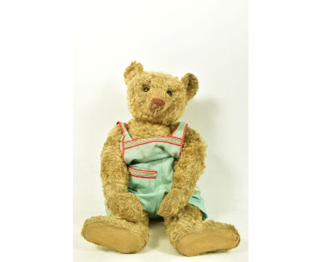 A LARGE STEIFF BLOND PLUSH TEDDY BEAR, 1920's/1930's style button with the long trailing f to left ear, black button eyes, ve