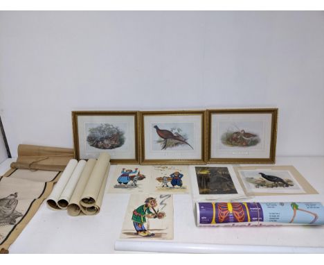 A selection of pictures to include two 1970s original cartoon illustrations signed Hayro (Hairo Avo, Armenian), and one other