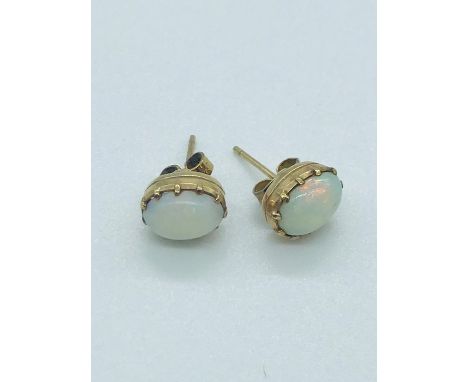 Pair of opal earrings in 9ct yellow gold setting