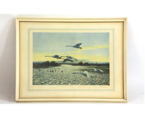 Peter ScottNORTH WIND - BEWICK SWANS signed in pencil  coloured lithograph, Original painted in 195744 x 55.5cm
