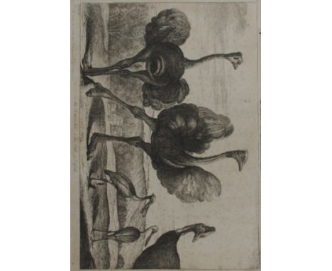 A FOLIO OF `OLD MASTER` PRINTS and other subjects, to include a woodcut of `Hans Sachs aged 51` after Lucas Cranach, from the