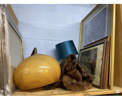 A fur coat and light fitting etc.