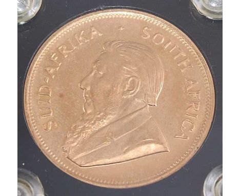 South Africa, 1979 gold Krugerrand, obv; portrait of Stephanus Johannes Paulus Kruger, rev; springbok dividing date , in plas
