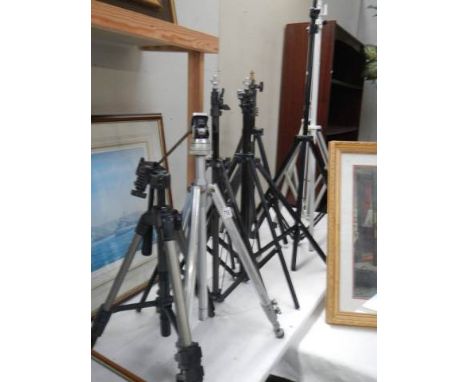 A quantity of camera tripods.