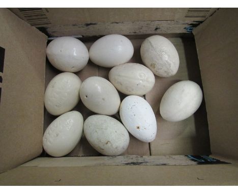 Ten plaster and ceramic display eggs