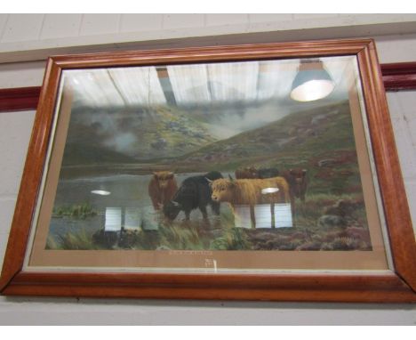 A Victorian print of Highland Cattle 'In the Heart of the Hills', maple framed and glazed, 39cm x 60cm