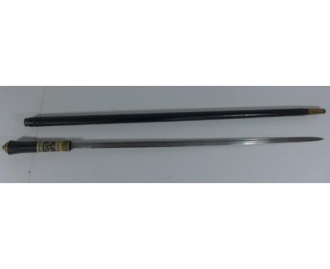 AN ANTIQUE SWORD STICK WITH BRASS LION HEAD TOP 