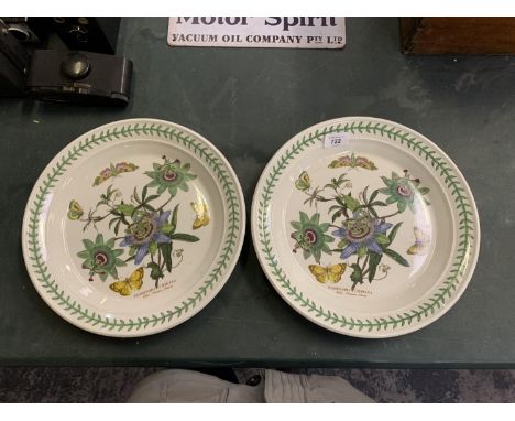 A PAIR OF PORTMEIRION BOTANIC GARDENS LARGE CERAMIC SERVING PLATES 