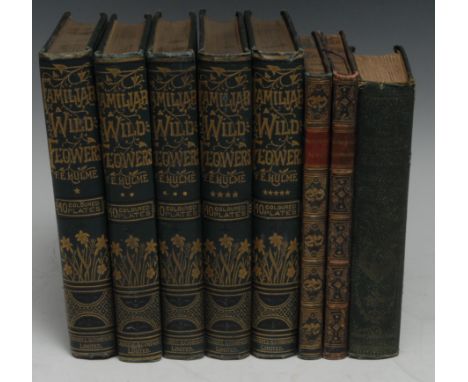 Natural History ? Bindings, Lydon (Alexander Francis, illustrator), two works: Scripture Quadrupeds, Containing a Description