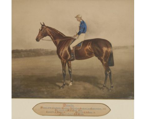 Horse Racing - Veracity, Winner of the Lincolnshire Handicap, Nottingham Handicap and Cambridgeshire 1888, The Property of W 