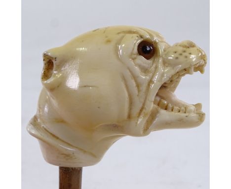 A 19th century carved ivory Bulldog design walking stick handle, with glass eyes 