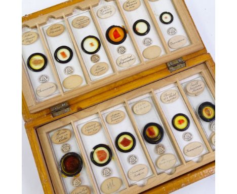 A quantity of laboratory microscope slides, by W Watson & Sons of London, mainly human specimens in original pine case 
