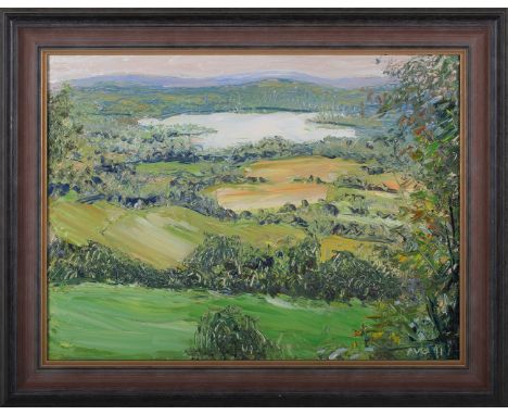 Fred Blomfield - 'From the Hill', oil on canvas, signed with initials recto, titled and dated 2011 verso, 45cm x 60cm, within