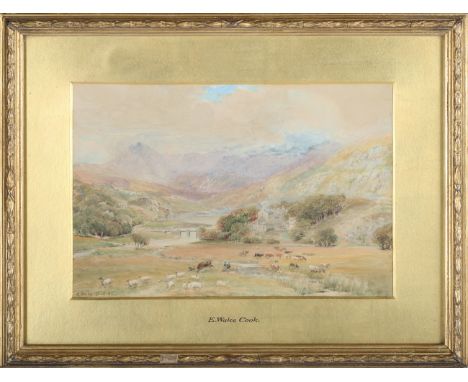 Ebenezer Wake Cooke - 'Royal Hotel, Capel Curig', 19th century watercolour, signed and dated '92 recto, titled label verso, 1