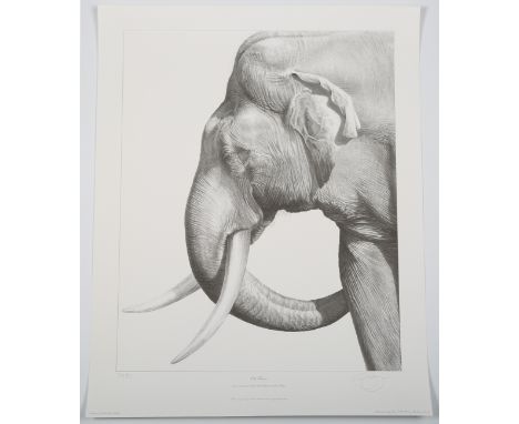 Gary Hodges - 'Old Tusker', 20th century monochrome print, signed and editioned 319/850 in pencil, sheet size 61cm x 48.5cm, 