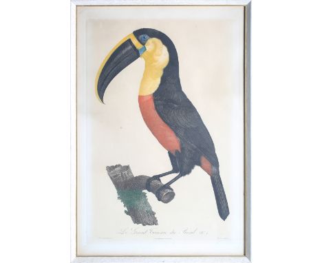 Jacques Burraband - 'Le Grand Toucan du Brésil, No. 7', colour engraving after Perée, 88.5cm x 39cm, together with a hand-col
