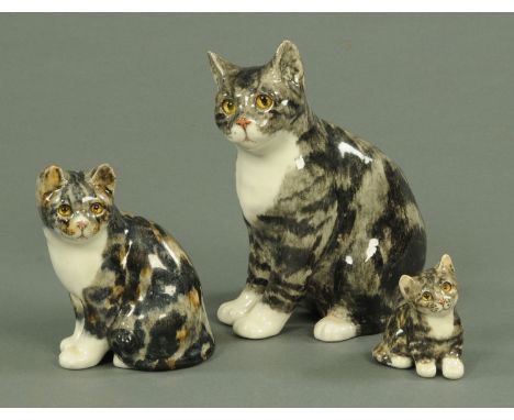 Three Winstanley ceramic cats, all three in seated pose and signed, tallest 31 cm. CONDITION REPORT: All cats appear to be fr