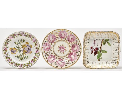 A Coalport botanical plate, c1810, painted with a double specimen in rose border and gilt, 21cm diam, painted title in blue s