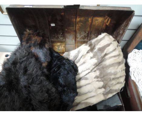 A vintage tin trunk containing a large quantity of fur pieces including collars, stoles, partly made coat etc