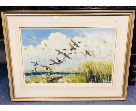 Peter Scott (British, 1909-1989), shovelers rising above reeds, 1934, colour print signed in pencil at l.r.margin, bearing Fi