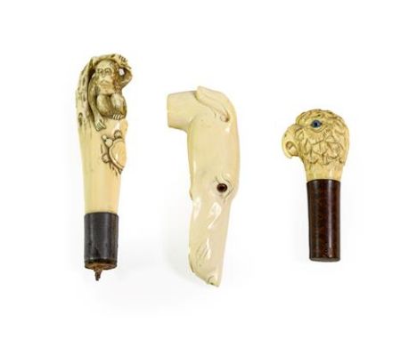 An Ivory Walking Stick Handle, late 19th century, naturalistically carved as the head of a parrot with glass eyes; A Similar 