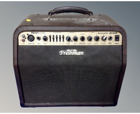 A Freshman Megatone acoustic AC30R amplifier 