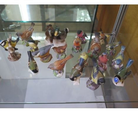 Fourteen Royal Worcester birds and five Geobel birds - all in good condition 