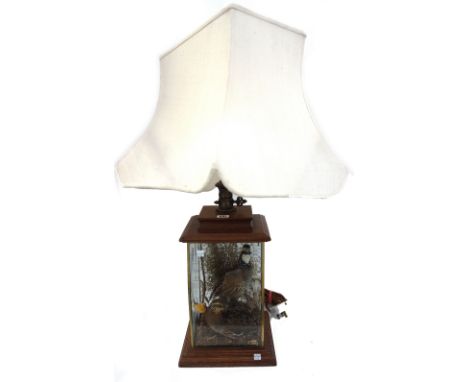 An unusual taxidermy table lamp, late 20th century, the New World Quaile contained in a bevelled glass square base with stepp