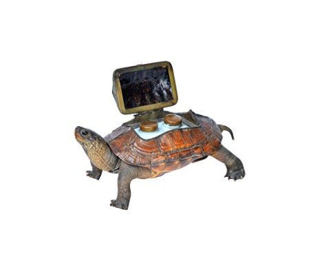 Taxidermy; a stuffed and mounted tortoise, early 20th century with a hindged recess to the shell enclosing twin ceramic inkwe