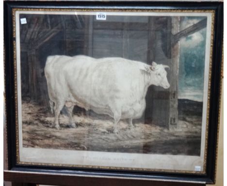 After G. Garrard, The Durham White Ox, colour mezzotint by William Ward, 50cm x 60cm.