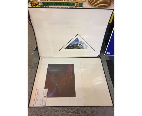 TWO LARGE MOUNTED PRINTS TO  INCLUDE LAST FLIGHT BY ALAN ADAMS WITH CERTIFICATE OF AUTHENTICITY 